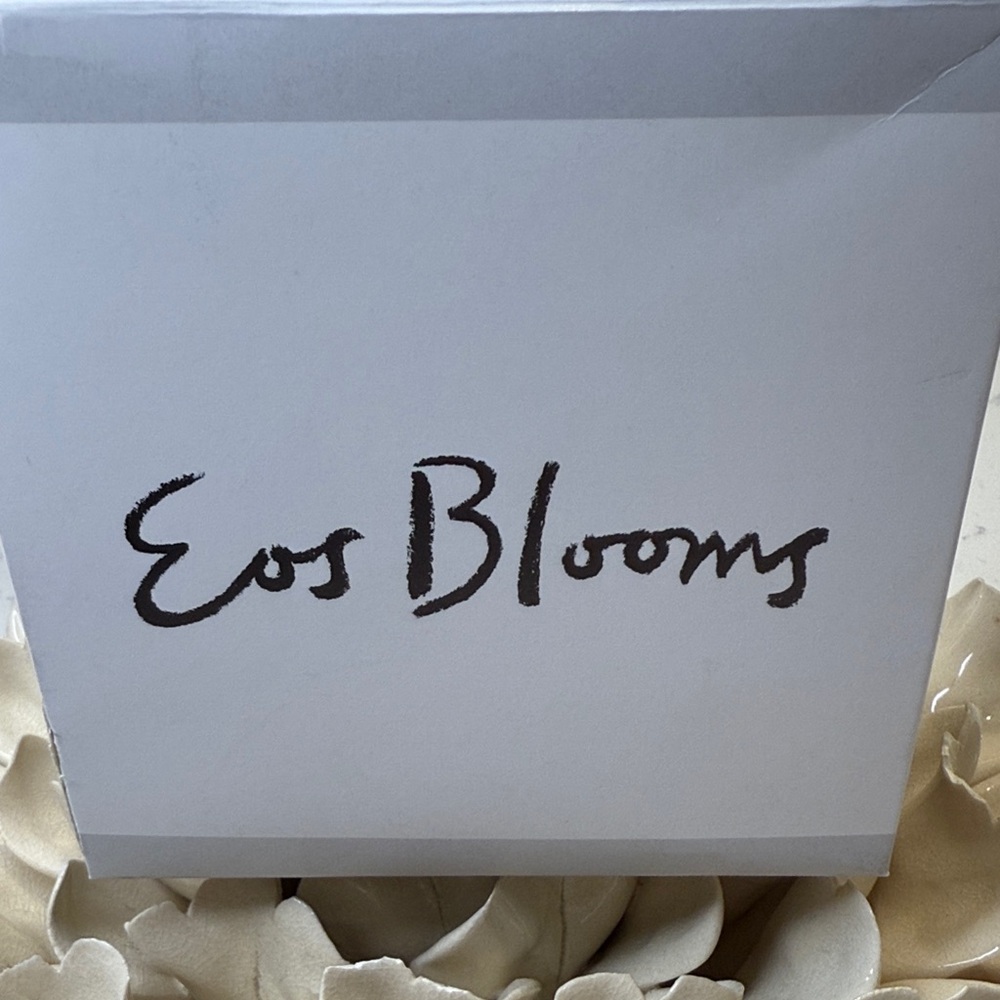 🌹NIB🌹 EOS BLOOMS Classic Forever Rose in Dusty Pink - Picture 2 of 4